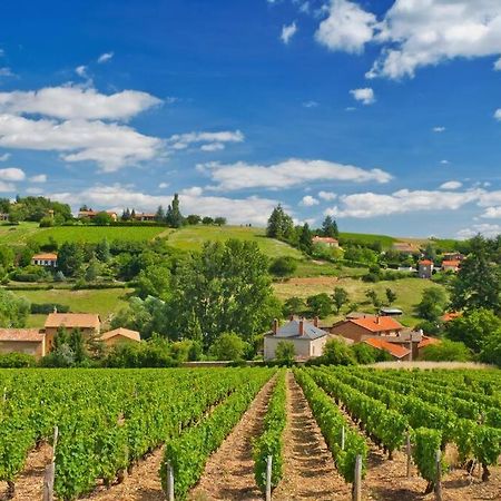 T2 Tout Equipe Au Beau Milieu Du Centre Historique Lejlighed Villefranche-sur-Saône Eksteriør billede