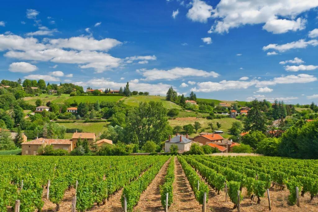 T2 Tout Equipe Au Beau Milieu Du Centre Historique Lejlighed Villefranche-sur-Saône Eksteriør billede